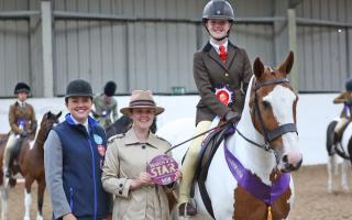 Annie Duffy has qualified for the Horse of the Year Show